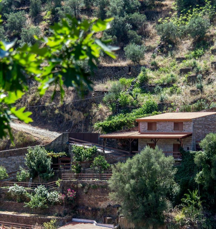 Casa Da Encosta Douro Valley Pinhão Εξωτερικό φωτογραφία